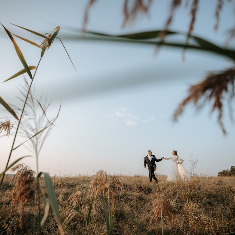 Tomáš Holeček - bride and groom