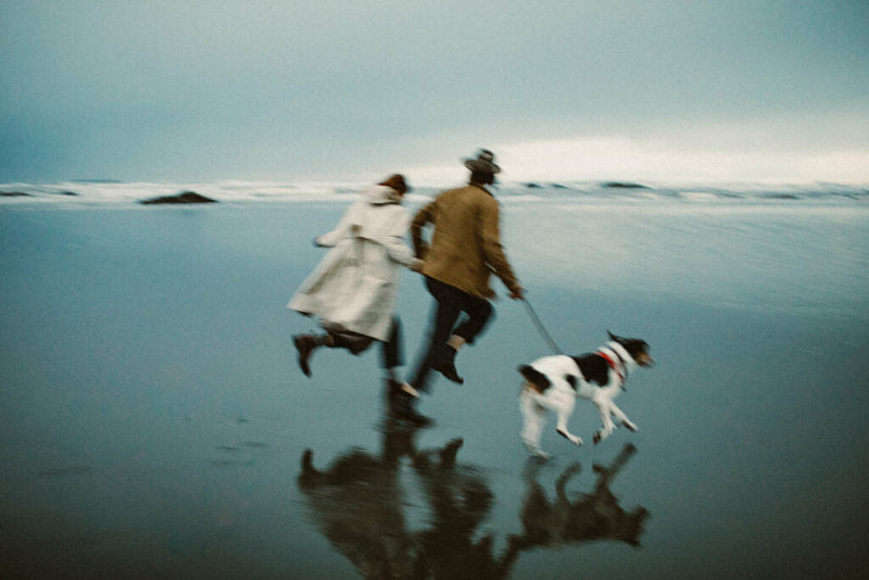 Two people running on the beach with a dog